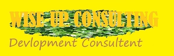 wise_up_consulting